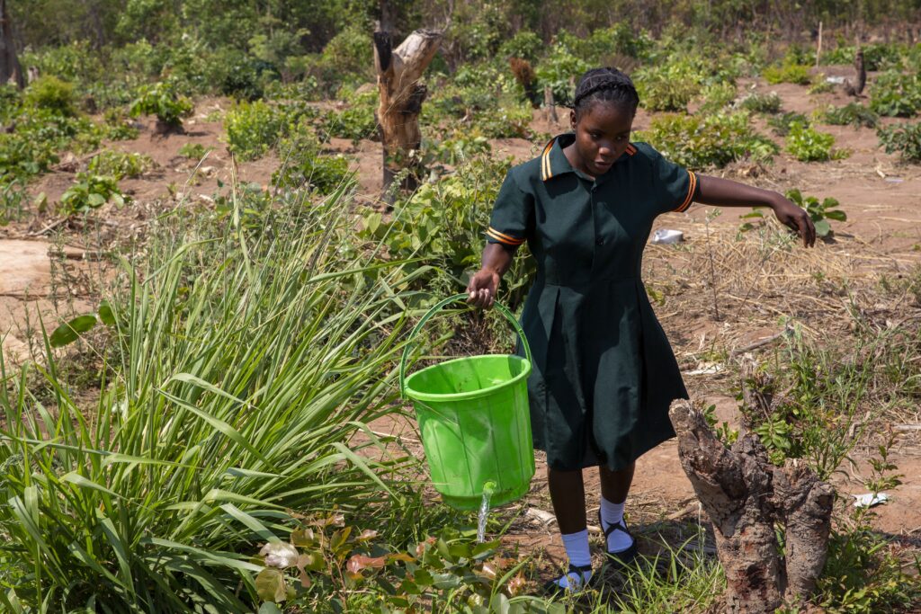 The hidden crisis How Zambia’s drought is impacting education PEAS